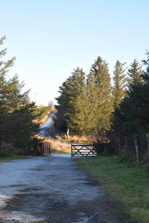 Christmas Day 2019 at The Braes in Berriedale