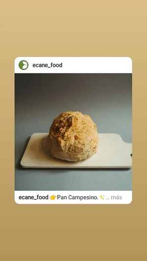 Pan campesino fermentado #Veganuary at Herbívoro in Arequipa