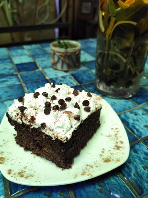  at Herbívoro in Arequipa