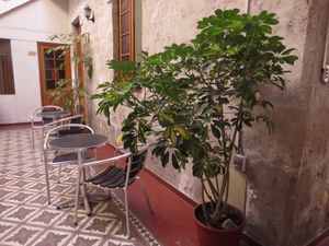 La bodega ecané at Herbívoro in Arequipa