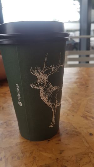 flat white takeaway cup at ELK Espresso in Broadbeach
