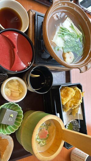 Vegan   at Saga Tofu Ine (Main Branch) 嵯峨とうふ 稲 本店 in Kyoto
