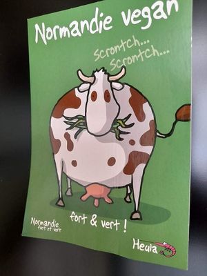 Just some decoration at Molybagert Végétale Normandie  in Trouville-sur-mer