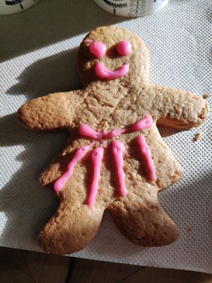 Gingerbread at Molybagert Végétale Normandie  in Trouville-sur-mer