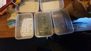 Produce at Unwrapped in Sheffield