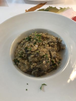 Mushroom risotto  at Palette in Torremolinos