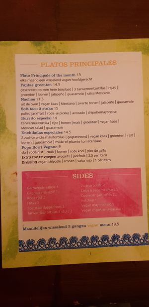 Vegan menu at Popocatepetl in Nijmegen