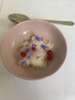 palette cleanser (lemon shaved ice, lingonberries)  at FREA in Berlin