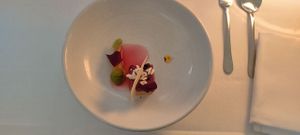 Black rice cheesecake
Rhubarb, caramelized white chocolate, blood sorrel at FREA in Berlin