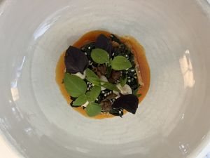 Spinach XO  at FREA in Berlin