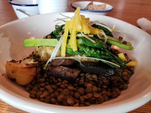 Lentil and mash potatoes- yum at FREA in Berlin