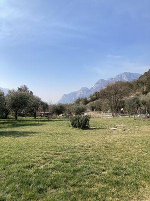 The beautiful garden  at Da La Babi in Arco