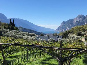 beautiful, peaceful location within vineyard and olive trees. Overlooking the Garda Lake at Da La Babi in Arco