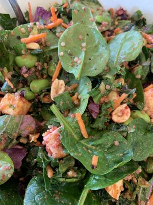 Siam I am salad at MAD Greens in Highlands Ranch