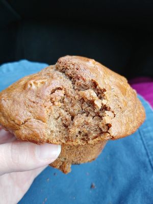 Vegan Chocolate Zucchini Muffin, really good, recommended at Coco's Cafe in Jasper