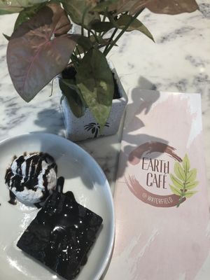 😻😻 at Earth Cafe @ Waterfield in Mumbai