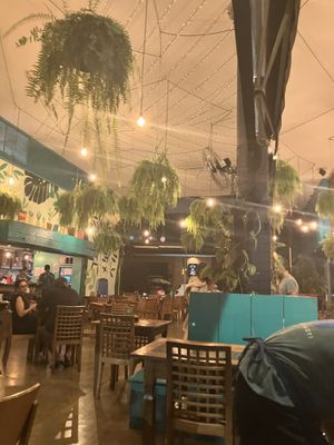   at The Plant in Brasilia