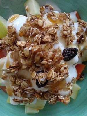 Healthy breakfast - Homemade granola with fruits, honey and yogurt at Punto de Reunion in Merida