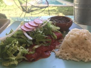 Enchiladas rojas veganas  at Punto de Reunion in Merida