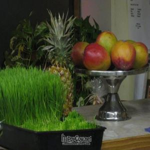 Wheat grass and mangos at Jolo's Kitchen in New Rochelle