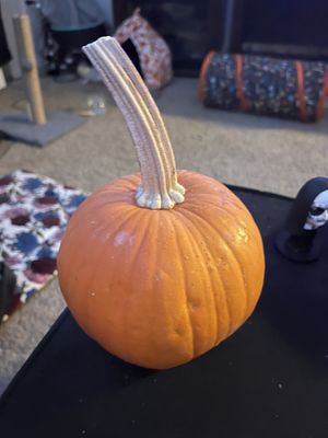  #Veganuary at Sacramento Natural Foods Co-op in Sacramento