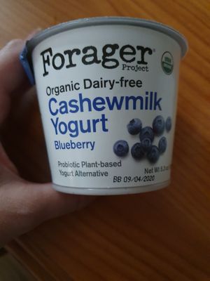 Cashew milk yogurt  at Sacramento Natural Foods Co-op in Sacramento