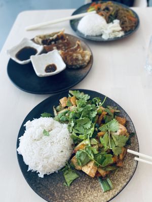 Stir fry and dumplings  at Kinabolle in Oslo