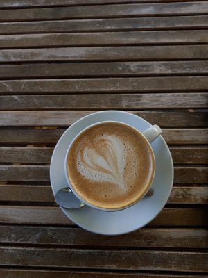  at Magnolia in Muenster