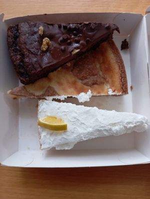  at Magnolia in Muenster