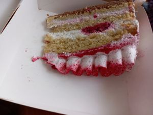  at Magnolia in Muenster