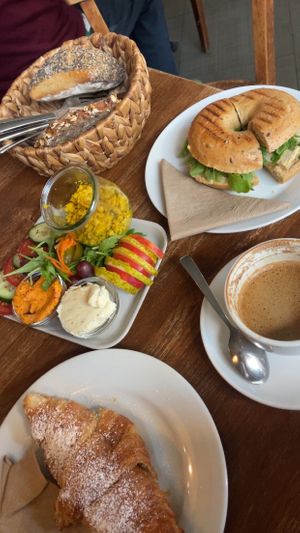   at Magnolia in Muenster