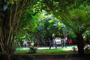 The garden at Casa in Faial