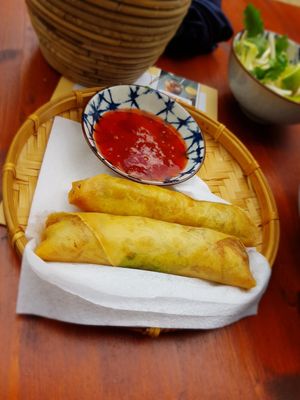 Spring rolls with veggies at LaCa Vietnamese Cuisine & Bar in Groningen