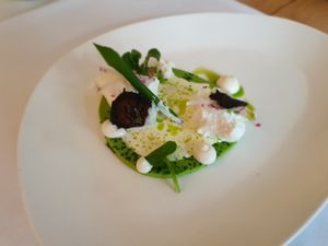 Vegetarisch:
Ziegenfrischkäse mit Baumnuss, Radieschen und Bärlauch at Wellness Hotel Roessli in Weggis