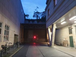 Straight and right at Cookies Cream in Berlin