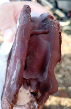Inbetweener Chocolate - Chestnut at Veganista Ice Cream VII in Vienna