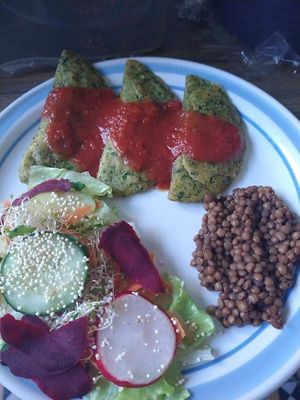  at Casa Savia Vegana in Merida