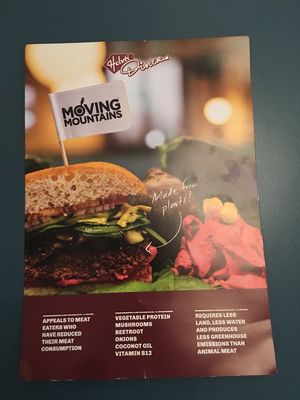 Vegan Burger at Helvti Diner - Kasernenstrasse in Zurich