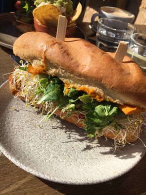 The veggie patch  at motherduck in Goolwa