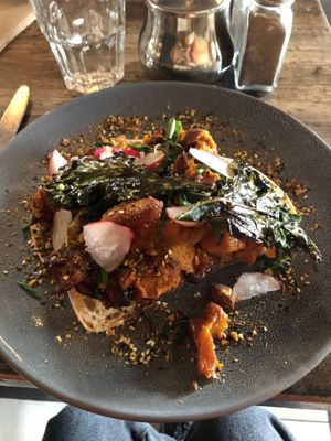 Pumpkin patch at motherduck in Goolwa