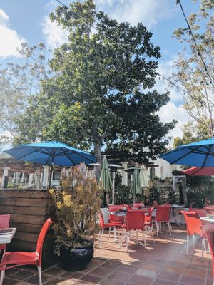 Outdoor patio that is dog friendly at Luna Red in San Luis Obispo