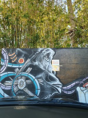 Cool.mural outside at Drunken Monkey Coffee Bar in Orlando