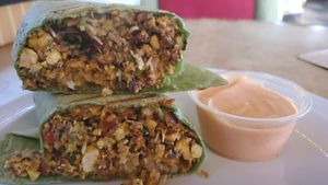 Treehugger at Drunken Monkey Coffee Bar in Orlando