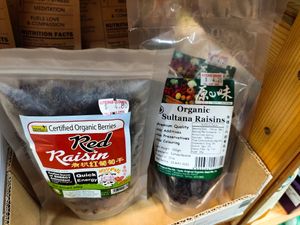 Raisin at Nutrimax Organic in Central Singapore