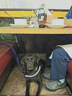 Malala loves a Vegan Diner ❤️ at Colony Diner in Wallingford