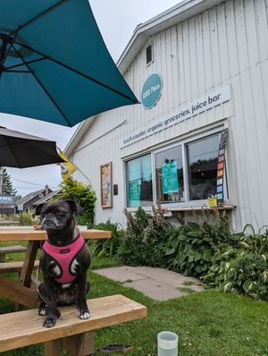 Outside with Rutabaga at GOOD Place in Wellington