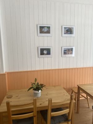 Decent size  at The Sly Fox in Edinburgh