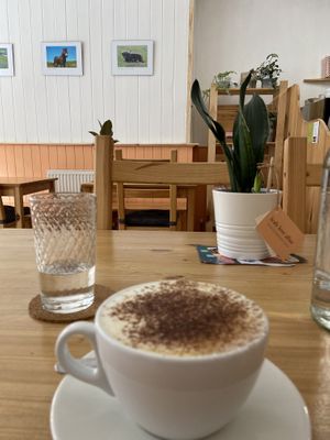 Oat cappuccino  at The Sly Fox in Edinburgh