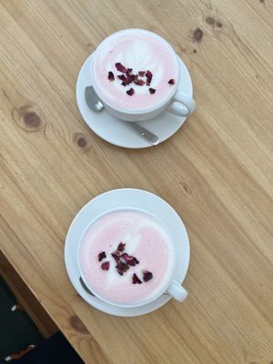   at The Sly Fox in Edinburgh