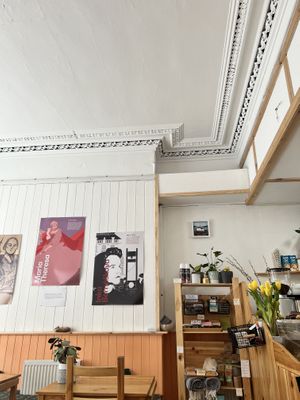   at The Sly Fox in Edinburgh